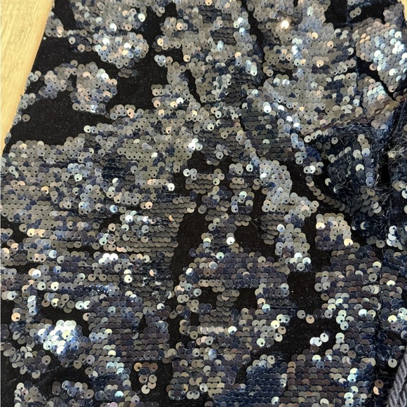 Anthropologie ett:wa Velvet sequin joggers size Small navy fully lined - Picture 5 of 9